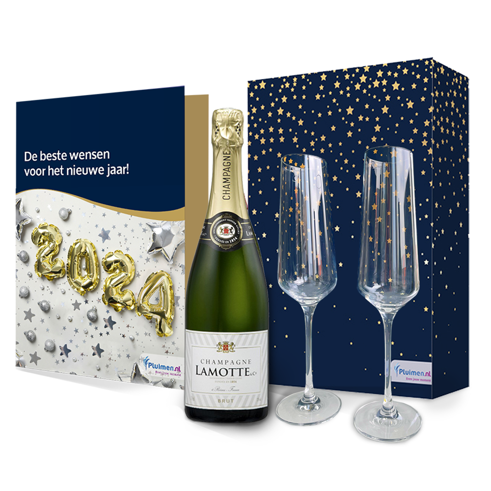 Nieuwjaarscadeau-pluim-champagne-glazen
